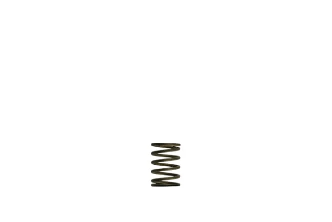 Turbosmart GenV WG38/40 3psi Black Inner Spring (TS-0550-3081)