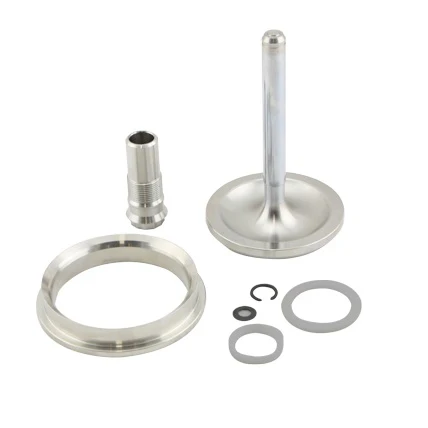 Turbosmart GenV WG60 Valve & Guide Set (TS-0555-3002)