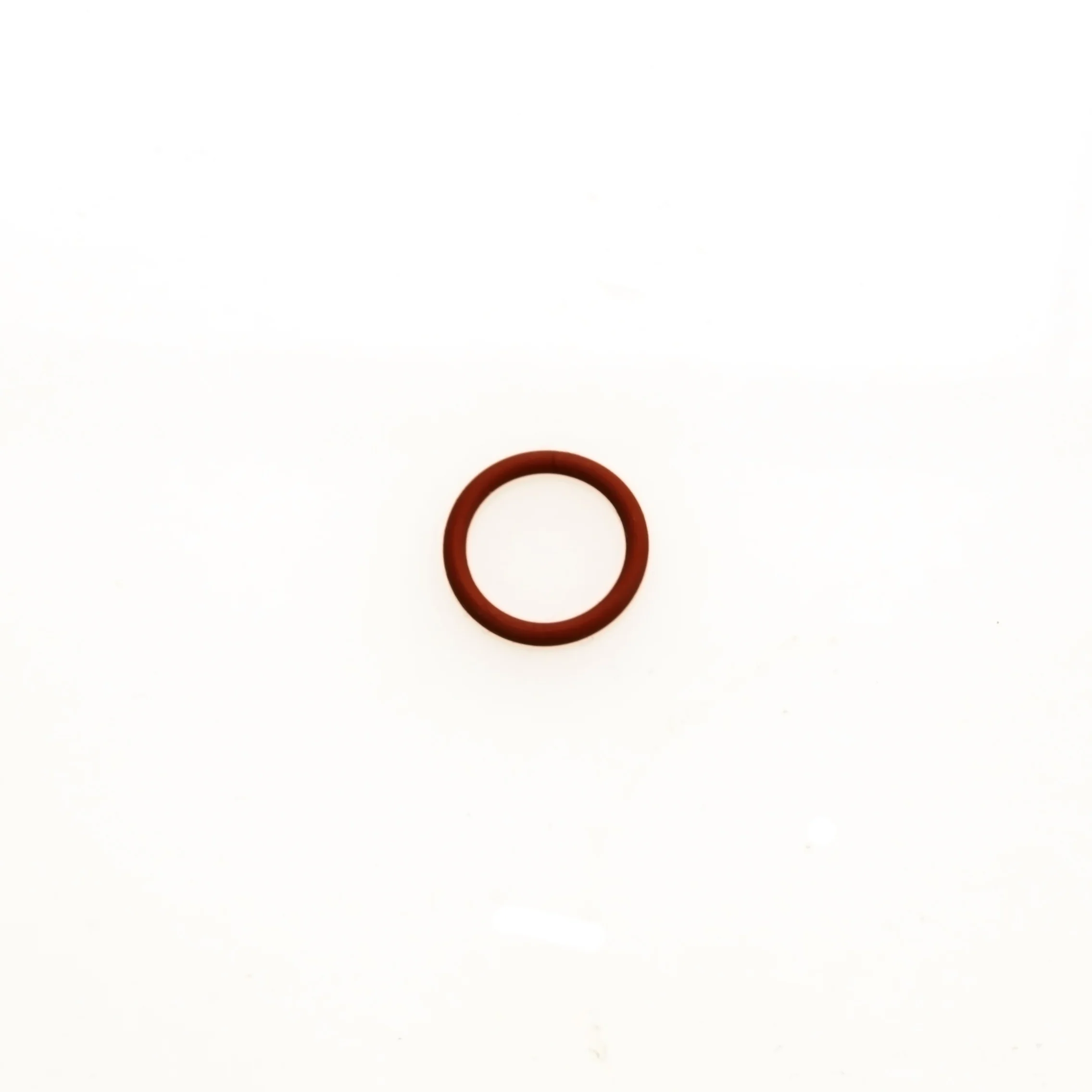 Turbosmart WG Valve Guide O Ring (TS-0501-3004)